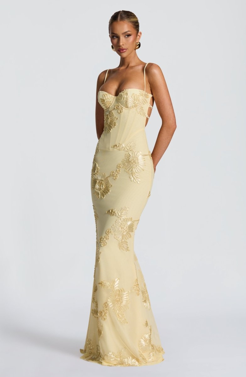 Fiona Figurbetontes Maxi Kleid | Spitze und Offener Rücken